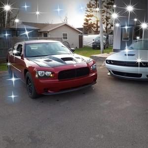 Meet your Posher, Darlene